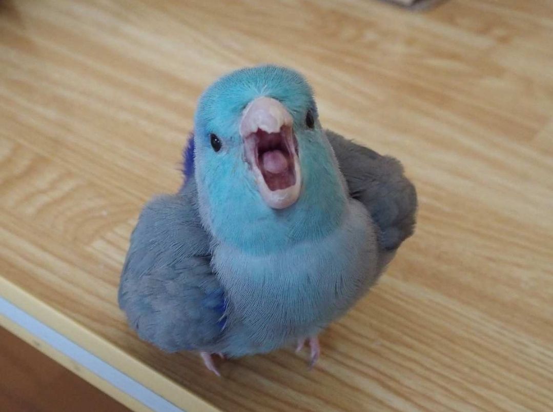 華山1914文化創意產業園區 | 去趣 chicTrip