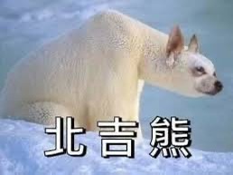 華山1914文化創意產業園區 | 去趣 chicTrip