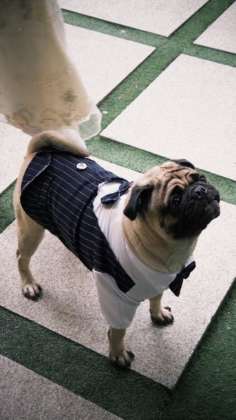 Taipei 101 observatory | 去趣 chicTrip