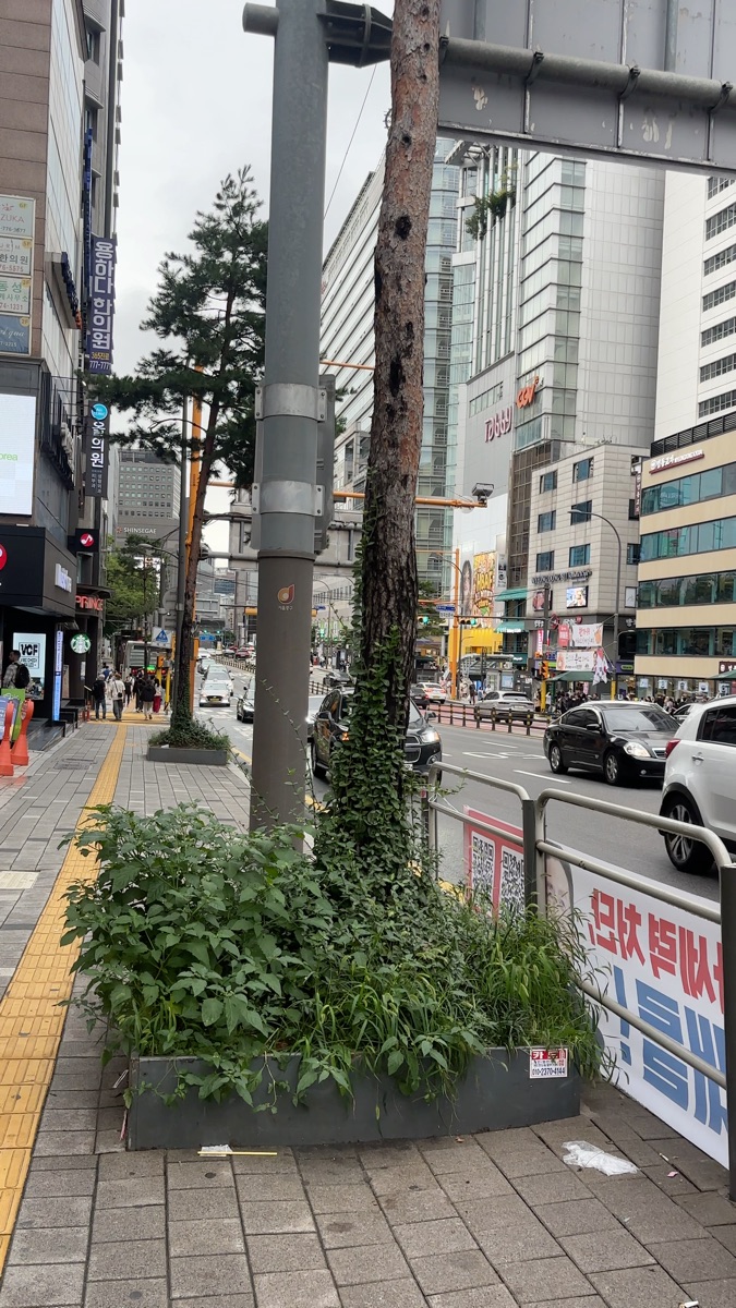 華山1914文化創意產業園區 | 去趣 chicTrip